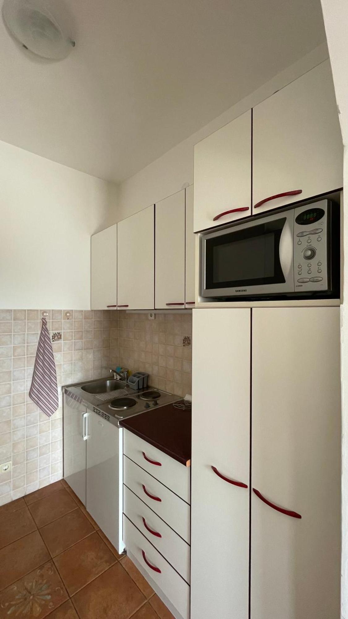 Apartment Tatjana Petrovac Exterior foto